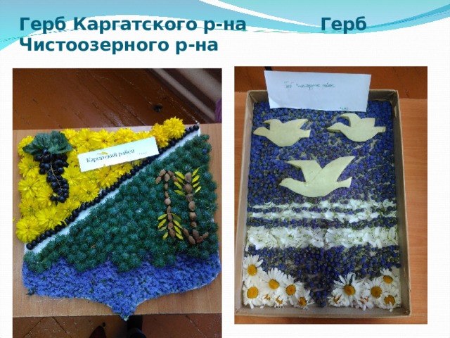 Герб Каргатского р-на Герб Чистоозерного р-на 