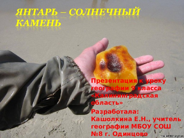 Презентация к уроку географии 9 класса «Калининградская область» Разработала: Кашолкина Е.Н., учитель географии МБОУ СОШ №8 г. Одинцово 