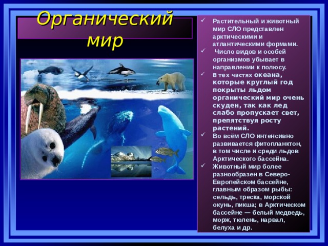 Растительный и животный мир СЛО представлен арктическими и атлантическими формами.  Число видов и особей организмов убывает в направлении к полюсу. В тех частях океана, которые круглый год покрыты льдом органический мир очень скуден, так как лед слабо пропускает свет, препятствуя росту растений. Во всём СЛО интенсивно развивается фитопланктон, в том числе и среди льдов Арктического бассейна. Животный мир более разнообразен в Северо-Европейском бассейне, главным образом рыбы: сельдь, треска, морской окунь, пикша; в Арктическом бассейне — белый медведь, морж, тюлень, нарвал, белуха и др. Органический мир 22 