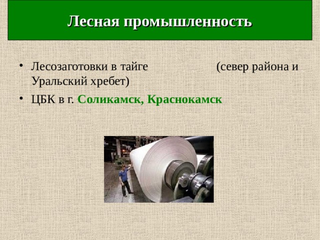 Лесная промышленность Лесозаготовки в тайге (север района и Уральский хребет) ЦБК в г. Соликамск, Краснокамск  