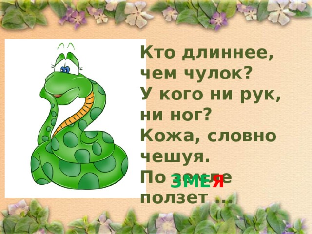 Кто длиннее, чем чулок?  У кого ни рук, ни ног?  Кожа, словно чешуя.  По земле ползет ... ЗМЕ Я 