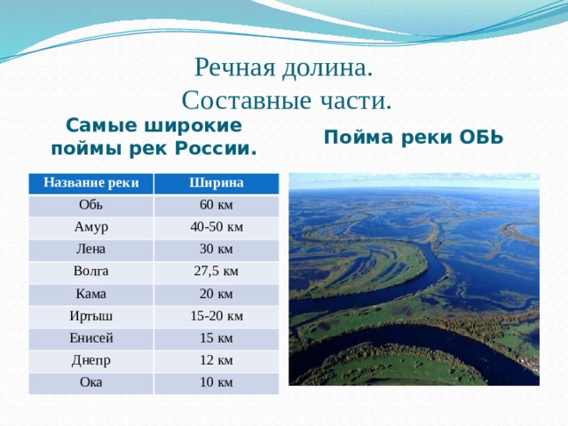 Речная долина.  Составные части. Самые широкие поймы рек России. Пойма реки ОБЬ Название реки Ширина Обь 60 км Амур 40-50 км Лена 30 км Волга 27,5 км Кама 20 км Иртыш 15-20 км Енисей 15 км Днепр 12 км Ока 10 км 