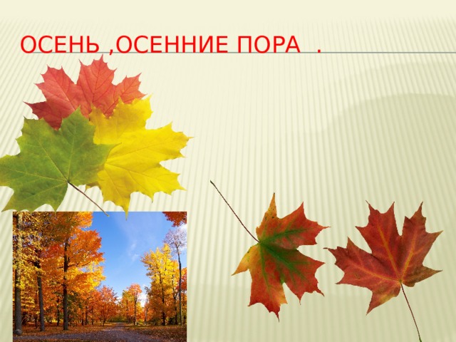 Осень ,осенние пора . 