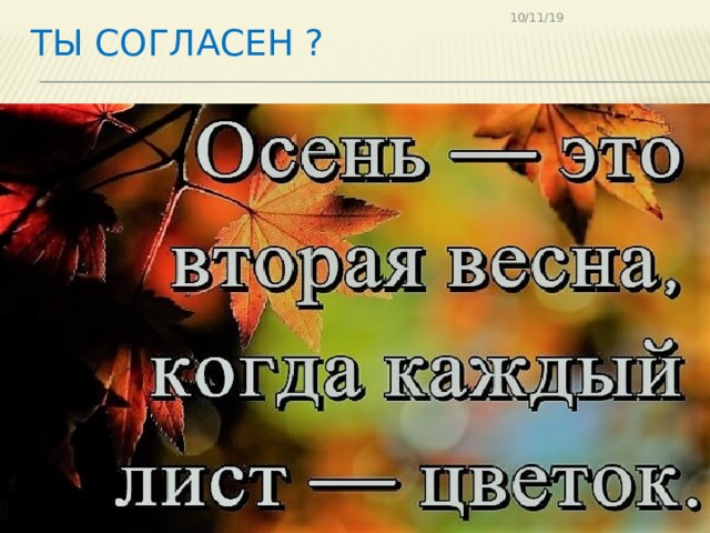 Ты согласен ? 10/11/19 