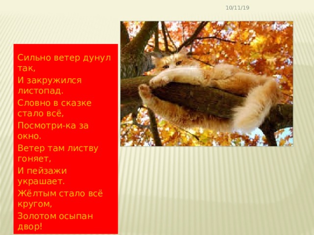 10/11/19 Сильно ветер дунул так, И закружился листопад. Словно в сказке стало всё, Посмотри-ка за окно. Ветер там листву гоняет, И пейзажи украшает. Жёлтым стало всё кругом, Золотом осыпан двор! 