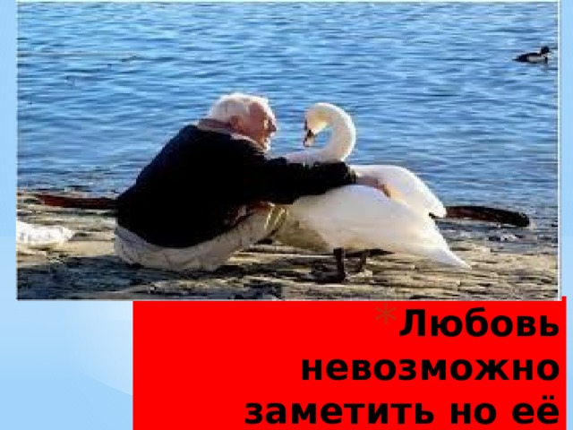 Любовь невозможно заметить но её всегда можно почувствовать 