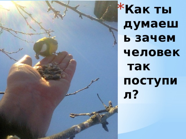 Как ты думаешь зачем человек так поступил? 
