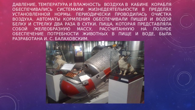 Давление, температура и влажность воздуха в кабине корабля обеспечивались системами жизнедеятельности в пределах установленной нормы. Периодически проводилась очистка воздуха. Автоматы кормления обеспечивали пищей и водой Белку и Стрелку два раза в сутки. Пища, которая представляла собой желеобразную массу, рассчитанную на полное обеспечение потребности животных в пище и воде, была разработана И. С. Балаховским. 