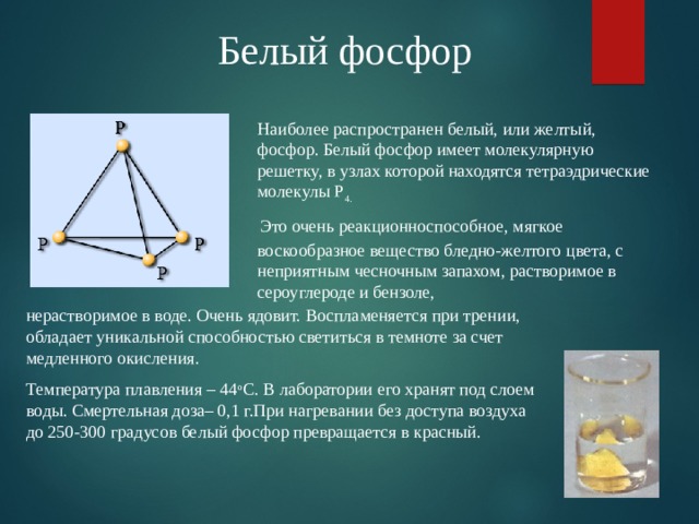 Белый фосфор Наиболее распространен белый, или желтый, фосфор. Белый фосфор имеет молекулярную решетку, в узлах которой находятся тетраэдрические молекулы Р 4.  Это очень реакционноспособное, мягкое воскообразное вещество бледно-желтого цвета, с неприятным чесночным запахом, растворимое в сероуглероде и бензоле, нерастворимое в воде. Очень ядовит. Воспламеняется при трении, обладает уникальной способностью светиться в темноте за счет медленного окисления. Температура плавления – 44 о С. В лаборатории его хранят под слоем воды. Смертельная доза– 0,1 г.При нагревании без доступа воздуха до 250-300 градусов белый фосфор превращается в красный.  