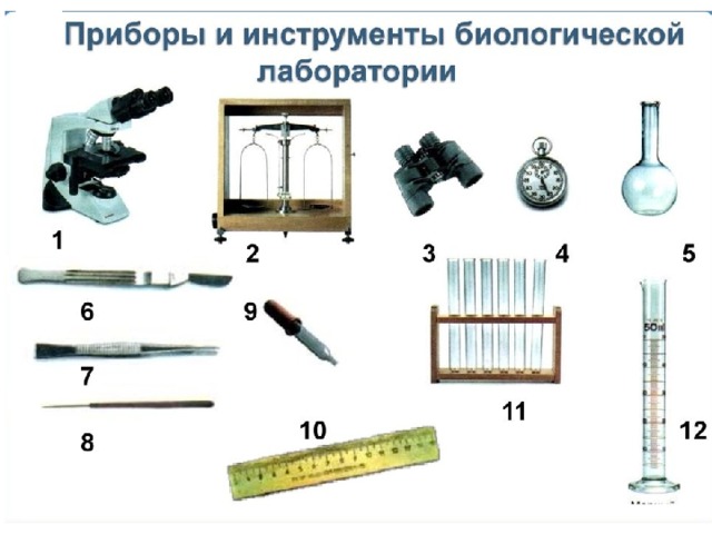 Приборы и инструменты биологической лаборатории 