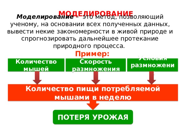 МОДЕЛИРОВАНИЕ Моделирование – это метод, позволяющий ученому, на основании всех полученных данных, вывести некие закономерности в живой природе и спрогнозировать дальнейшее протекание природного процесса.    Пример: Условия размножения Количество мышей Скорость размножения Количество пищи потребляемой мышами в неделю ПОТЕРЯ УРОЖАЯ 