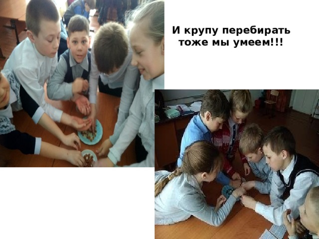  И крупу перебирать тоже мы умеем!!! 