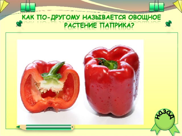 Вы когда – нибудь видели грязное насекомое? Муха, побывав в гадости, так крутит голову передними лапками, что того и гляди оторвет ее. Так же умываются и другие насекомые.  