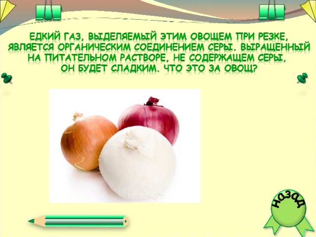 Совсем недавно ученые выяснили, что за Полярным кругом по ночам самцы и самки комаров перелетают от цветка к цветку, питаются нектаром и попутно опыляют растения. Ведь в тундре и тайге очень мало пчел и шмелей.  