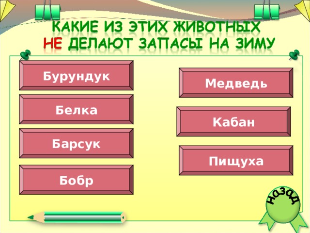 Бурундук Медведь Белка Кабан Барсук Пищуха Бобр  