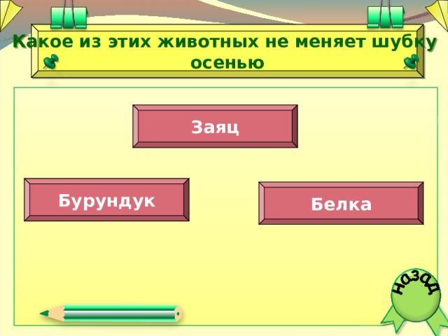  Какое из этих животных не меняет шубку осенью Заяц Бурундук Белка  