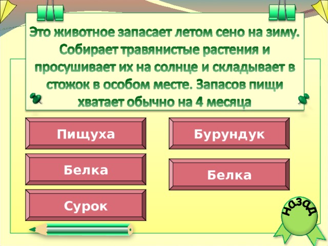 Пищуха Бурундук Белка Белка Сурок  