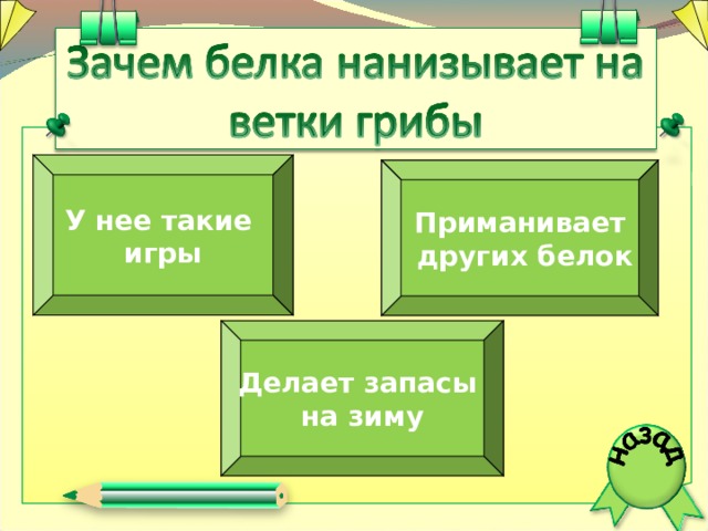 У нее такие игры Приманивает  других белок Делает запасы на зиму  