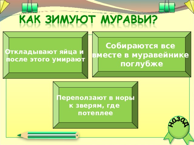 Откладывают яйца и после этого умирают  Собираются все вместе в муравейнике поглубже  Переползают в норы к зверям, где потеплее  