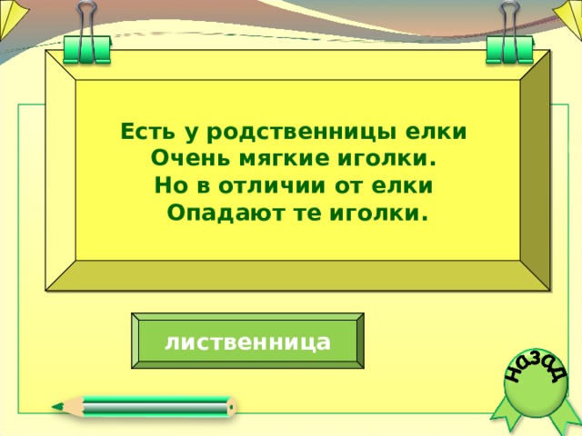 Есть у родственницы елки Очень мягкие иголки. Но в отличии от елки Опадают те иголки. лиственница  