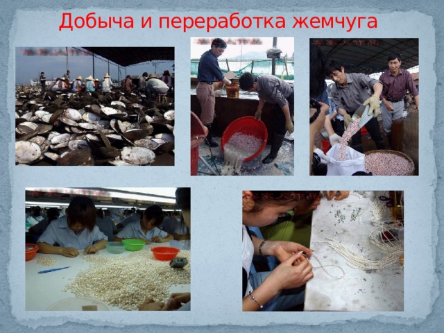 Добыча и переработка жемчуга 