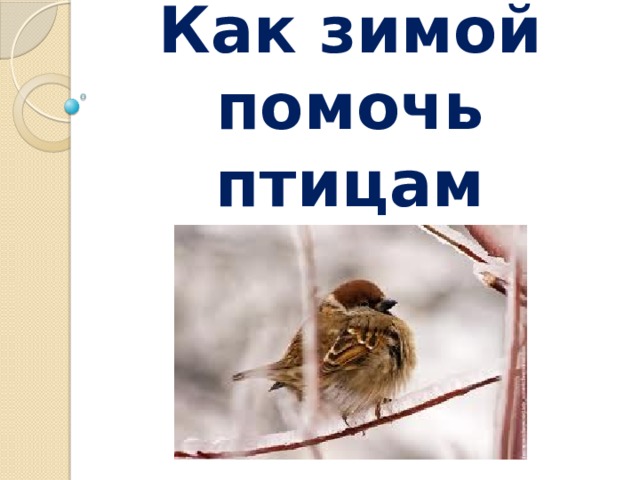 Как зимой помочь птицам 