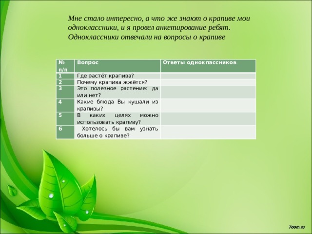 Мне стало интересно, а что же знают о крапиве мои одноклассники, и я провел анкетирование ребят. Одноклассники отвечали на вопросы о крапиве        № п/п Вопрос 1 Ответы одноклассников Где растёт крапива? 2 Почему крапива жжётся? 3 Это полезное растение: да или нет? 4 Какие блюда Вы кушали из крапивы? 5 В каких целях можно использовать крапиву? 6  Хотелось бы вам узнать больше о крапиве? 