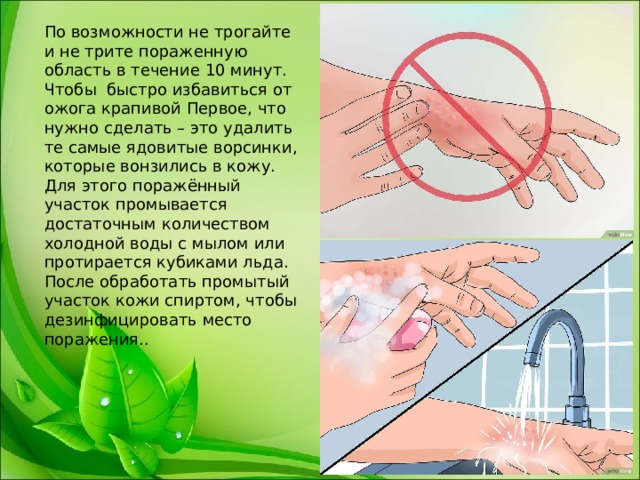 По возможности не трогайте и не трите пораженную область в течение 10 минут. Чтобы быстро избавиться от ожога крапивой Первое, что нужно сделать – это удалить те самые ядовитые ворсинки, которые вонзились в кожу. Для этого поражённый участок промывается достаточным количеством холодной воды с мылом или протирается кубиками льда. После обработать промытый участок кожи спиртом, чтобы дезинфицировать место поражения.. 