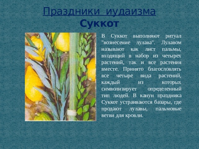 Праздники иудаизма  Суккот В Суккот выполняют ритуал 