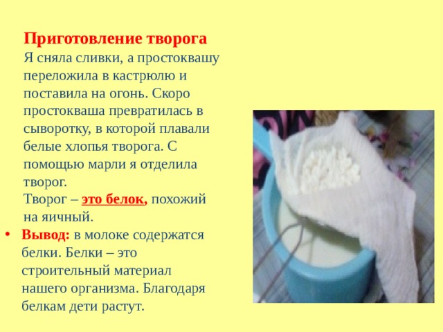       Приготовление творога  Я сняла сливки, а простоквашу переложила в кастрюлю и поставила на огонь. Скоро простокваша превратилась в сыворотку, в которой плавали белые хлопья творога. С помощью марли я отделила творог.  Творог –  это белок , похожий на яичный.    Вывод: в молоке содержатся белки. Белки – это строительный материал нашего организма. Благодаря белкам дети растут.   