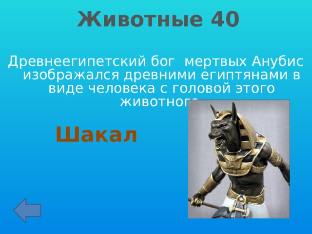 Животные 40 Древнеегипетский бог мертвых Анубис изображался древними египтянами в виде человека с головой этого животного Шакал 
