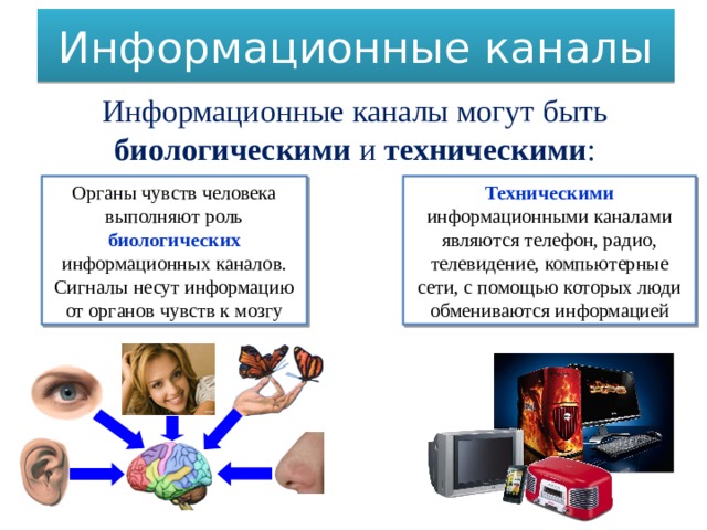 Информационные каналы Информационные каналы могут быть биологическими и техническими : Органы чувств человека выполняют роль биологических информационных каналов. Техническими  информационными каналами являются телефон, радио, телевидение, компьютерные сети, с помощью которых люди обмениваются информацией Сигналы несут информацию от органов чувств к мозгу 