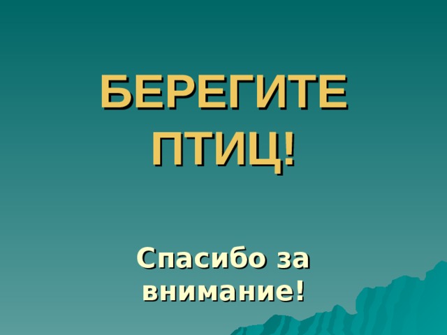 БЕРЕГИТЕ ПТИЦ! Спасибо за внимание! 