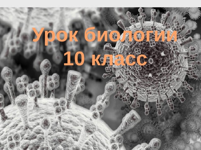 Урок биологии 10 класс 