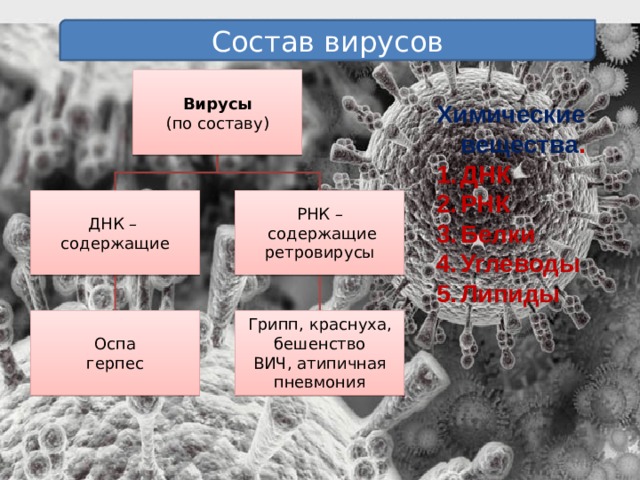 Состав вирусов Вирусы (по составу) Химические вещества . ДНК РНК Белки Углеводы Липиды ДНК – РНК – содержащие  содержащие ретровирусы Грипп, краснуха, бешенство Оспа ВИЧ, атипичная пневмония герпес 