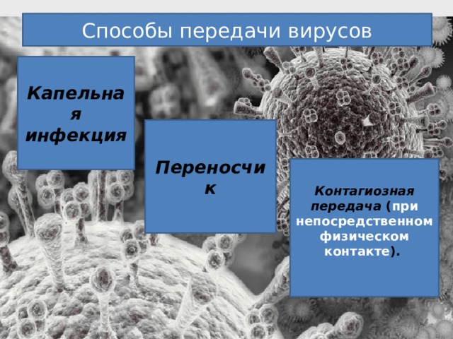 Способы передачи вирусов Капельная инфекция  Переносчик Контагиозная передача ( при непосредственном физическом контакте ). 