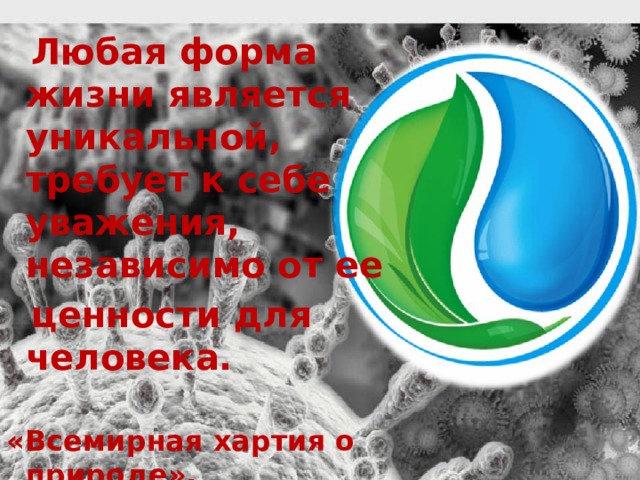  Любая форма жизни является уникальной, требует к себе уважения, независимо от ее  ценности для человека.   «Всемирная хартия о природе»,   принята Генеральной Ассамблеей ООН (1982)  