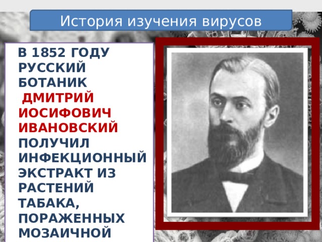 История изучения вирусов В 1852 году русский ботаник  Дмитрий Иосифович Ивановский получил инфекционный экстракт из растений табака, пораженных мозаичной болезнью. 