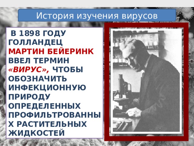 История изучения вирусов  В 1898 году голландец Мартин Бейеринк ввел термин «вирус», чтобы обозначить инфекционную природу определенных профильтрованных растительных жидкостей 