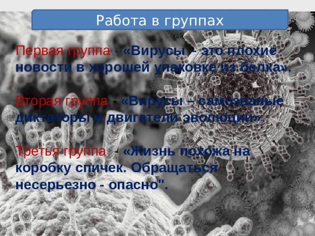 Работа в группах Первая группа - «Вирусы – это плохие новости в хорошей упаковке из белка». Вторая группа - «Вирусы – самозваные диктаторы и двигатели эволюции» . Третья группа - «Жизнь похожа на коробку спичек. Обращаться несерьезно - опасно