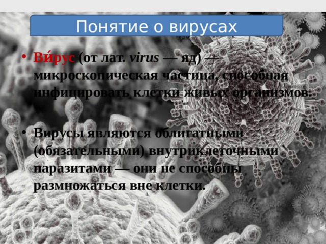 Понятие о вирусах Ви́рус (от лат. virus — яд) — микроскопическая частица, способная инфицировать клетки живых организмов.  Вирусы являются облигатными (обязательными) внутриклеточными паразитами — они не способны размножаться вне клетки.  