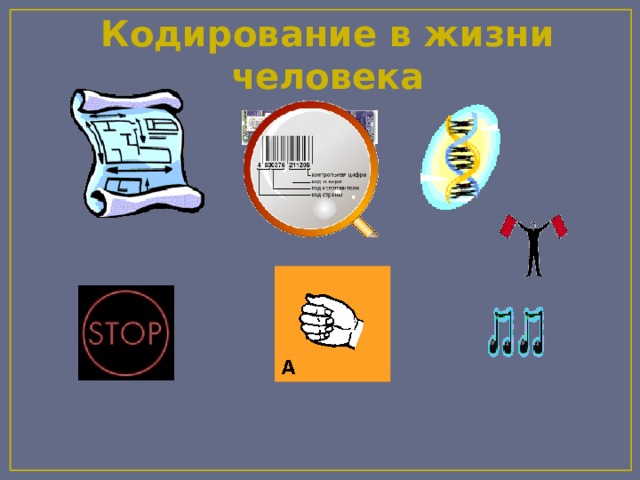 Кодирование в жизни человека 