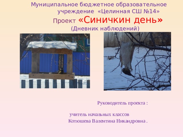  Муниципальное бюджетное образовательное  учреждение «Целинная СШ №14»   Проект «Синичкин день »  (Дневник наблюдений)      Руководитель проекта :  учитель начальных классов  Котюшева Валентина Никандровна .     