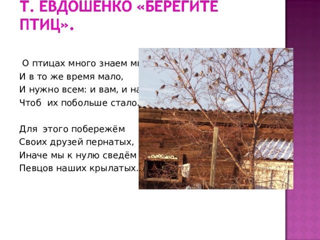  О птицах много знаем мы И в то же время мало, И нужно всем: и вам, и нам, - Чтоб их побольше стало.  Для этого побережём Своих друзей пернатых, Иначе мы к нулю сведём Певцов наших крылатых. 