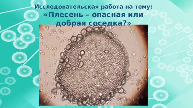 Исследовательская работа на тему: «Плесень – опасная или добрая соседка?» 