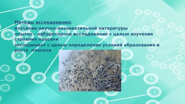 Методы исследования: изучение научно-познавательной литературы опытно - лабораторное исследование с целью изучения строения плесени эксперимент с целью определения условий образования и роста плесени       