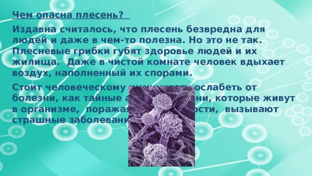 Чем опасна плесень? Издавна считалось, что плесень безвредна для людей и даже в чем-то полезна. Но это не так. Плесневые грибки губят здоровье людей и их жилища. Даже в чистой комнате человек вдыхает воздух, наполненный их спорами. Стоит человеческому иммунитету ослабеть от болезни, как тайные агенты плесени, которые живут в организме, поражая органы и кости, вызывают страшные заболевания. 