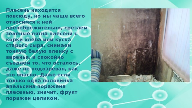 Плесень находится повсюду, но мы чаще всего относимся к ней пренебрежительно, срезаем зеленые пятна плесени с корки хлеба или куска старого сыра, снимаем тонкую белую пленку с варенья, и спокойно съедаем то, что осталось, даже не подозревая, как это опасно. Даже если только одна половинка апельсина поражена плесенью, значит, фрукт поражен целиком. 