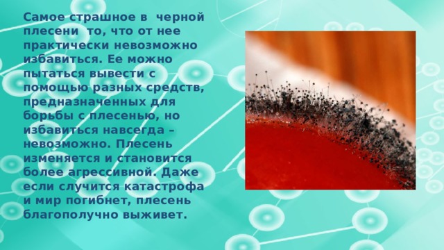 Самое страшное в черной плесени то, что от нее практически невозможно избавиться. Ее можно пытаться вывести с помощью разных средств, предназначенных для борьбы с плесенью, но избавиться навсегда – невозможно. Плесень изменяется и становится более агрессивной. Даже если случится катастрофа и мир погибнет, плесень благополучно выживет. 