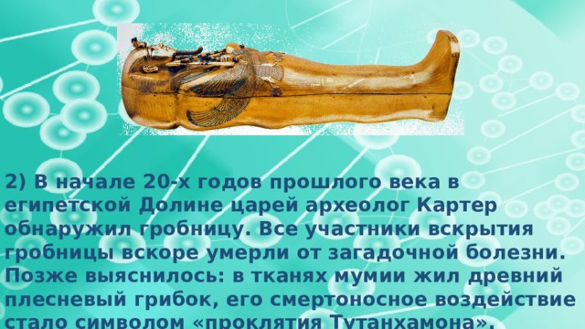 2) В начале 20-х годов прошлого века в египетской Долине царей археолог Картер обнаружил гробницу. Все участники вскрытия гробницы вскоре умерли от загадочной болезни. Позже выяснилось: в тканях мумии жил древний плесневый грибок, его смертоносное воздействие стало символом «проклятия Тутанхамона». 